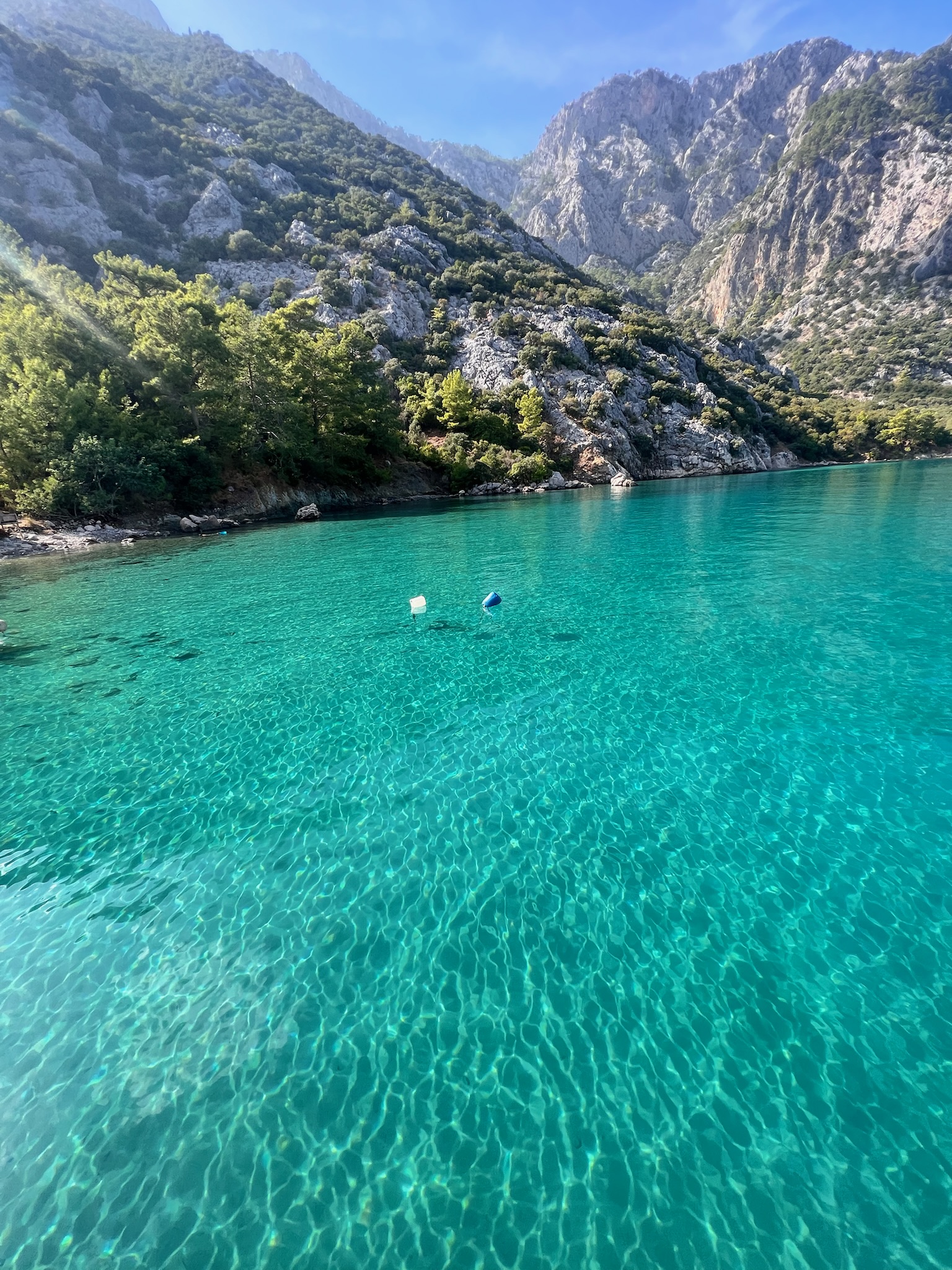 Ceneviz Koyu Tekne Turu